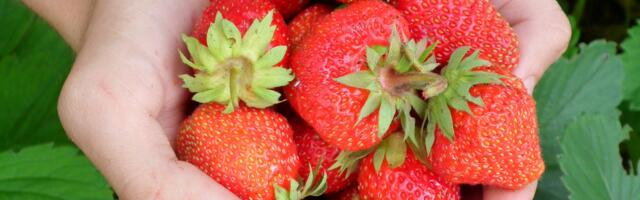 Podsticaji za poljoprivrednike