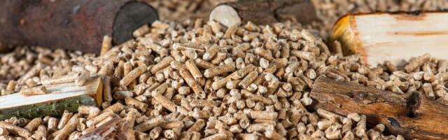 Profesor Šumarskog fakulteta: Na vreme početi nabavku drvnog peleta