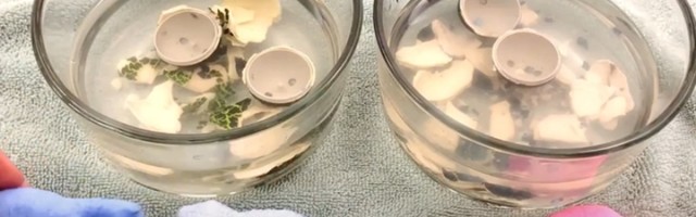 NE ZNATE ČIME VIŠE DA IZNENADITE DETE? Dajemo vam sjajan savet kako da ga obradujete i oduševite!