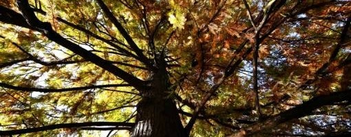 Danas toplo i pretežno sunčano, do 23 stepena