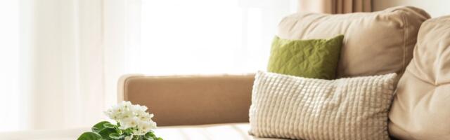 Koren truli, pupoljci otpadaju: Ovo je 10 saveta kako da održite u životu mnogima omiljenu sobnu biljku