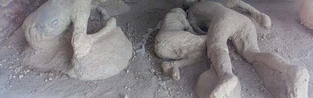 Apsurd iz Pompeje: Neki robovi jeli su bolje od slobodnih građana