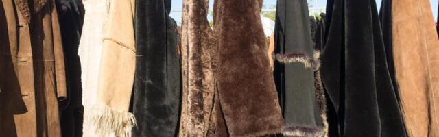 OVAKAV "GOSPODIN" SE RETKO VIĐA Nesvakidašnja scena na niškom buvljaku nasmejala prolaznike: Nasmejan čeka svog kupca! (FOTO)