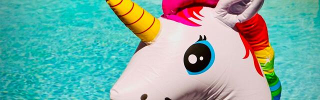 Javna tajna privatnog ‘jednoroga’