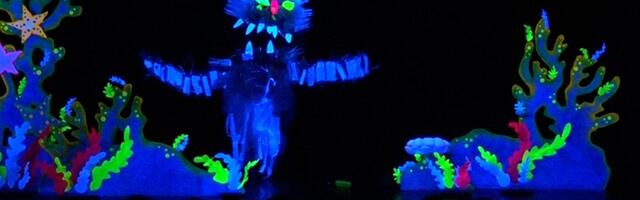 Meduza suza – plastika je prijatelj ili neprijatelj? (VIDEO)