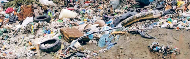 Ди­вља де­по­ни­ја у старој сме­де­рев­ској ци­гла­ни