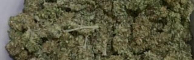 CRNOGORAC PAO SA VEĆOM KOLIČINOM DROGE! U gepek spakovao pune torbe