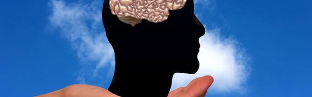 Mozak prolazi kroz pet faza tokom ljudskog života