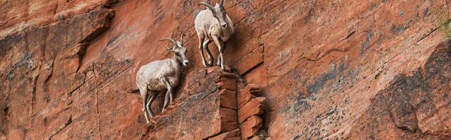 Devet saveta kako da se nosite sa turbulentnim vremenima