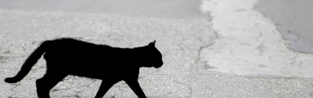 Plašljivci piju hladnu kafu: Neobična srpska sujeverja