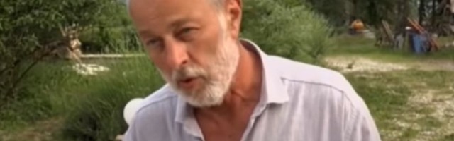 Ljubodrag Stojadinović: Profesor Mika