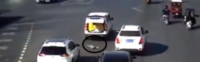 MALO DETE ISPALO IZ GEPEKA! Zaustavljen saobraćaj na auto-putu! MAJKA U ŠOKU! (VIDEO)