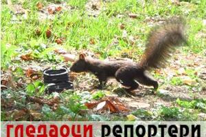 Гледаоци репортери (5. новембар 2022)