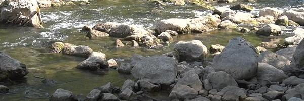 Rzav na minimumu – ugroženo vodosnabdevanje