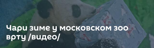 Чари зиме у московском зоо врту /видео/