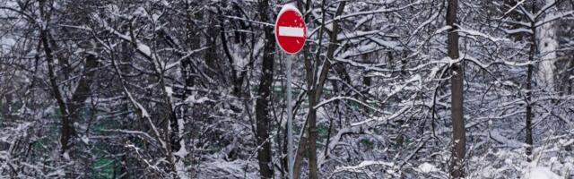 Uprava za šume upozorila: Sneg i niske temperature prete da ugroze divljač u lovištima Srbije