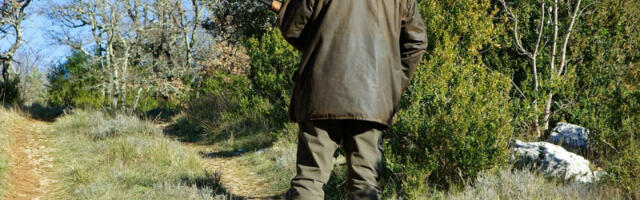 Ovo su cene odstrela zaštićenih divljači u Srbiji: Od 1 do 150.000 dinara