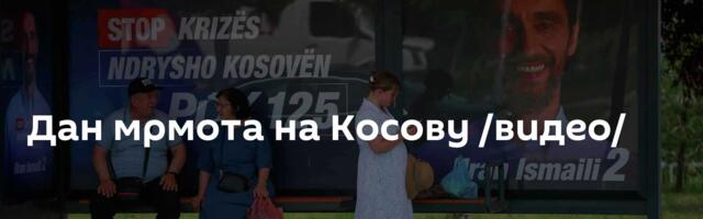 Дан мрмота на Косову /видео/