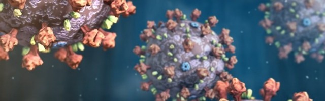 KAKO KORONA MENJA JEZIK Izdat "Rečnik pojmova iz perioda epidemije kovida"