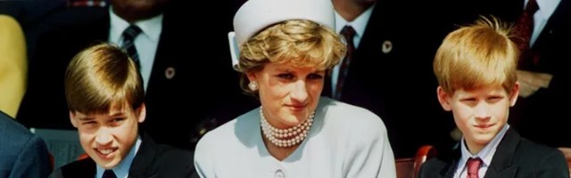 Princ Vilijam je svoj novi projekat posvetio princezi Dajani