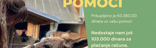 ZOO Planet poziva Nišlije da doniraju novac i time spasu životinje