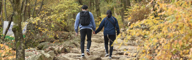 Najbrži test zdravlja