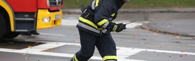 Požar u Žarkovu: Vatrogasci se bore sa plamenom (FOTO)