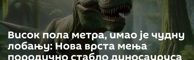 Висок пола метра, имао је чудну лобању: Нова врста мења породично стабло диносауруса