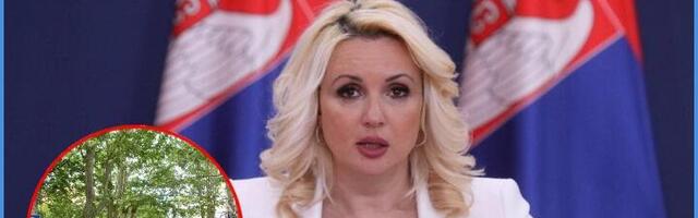 Ministarki Kisić stan od Vlade u centru Beograda!