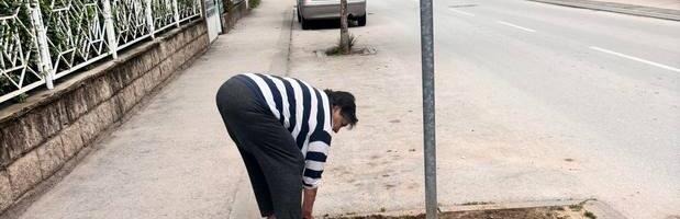 Leskovčanka odlučila da posadi cveće na trotoarskoj površini i doda boje sivilu betona