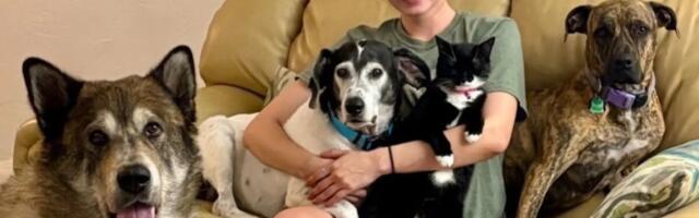 Devojka udomila osam životinja za 10 godina: Grejs je vlasnica čopora, ima sedam pasa i jednu mačku