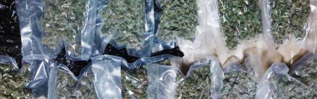 Dačić: Uhapšen Beograđanin (40), u stanu pronađeno 2,6 kg droge