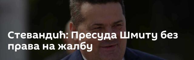 Стевандић: Пресуда Шмиту без права на жалбу