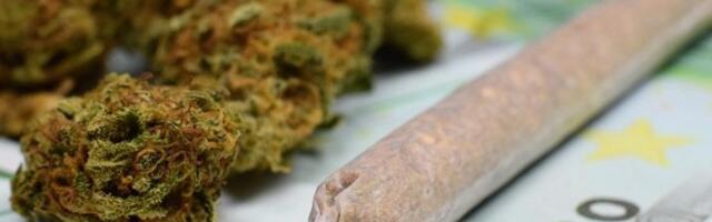 Krenuo na ručak sa torbom punom droge: Hapšenje u Pljevljima