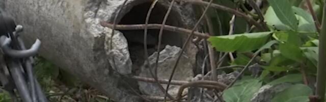 "OVAKVU ŠTETU NISAM VIDEO ZA SVOJIH 80 GODINA!" Nevreme napravilo HAOS u ovom delu Srbije: Grad i olujni vetar uništili useve, voćnjake - šteta ogromna! (FOTO)