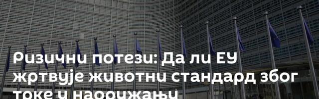 Ризични потези: Да ли ЕУ жртвује животни стандард због трке у наоружању
