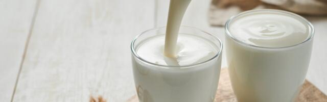 Nutricionista otkriva da li kefir zaista smanjuje nadutost: Nekima je spas, a kod drugih pravi veći problem