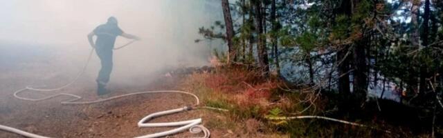 Jeziv požar se širi ka Srbiji: Vatrogasci u borbi sa stihijom!