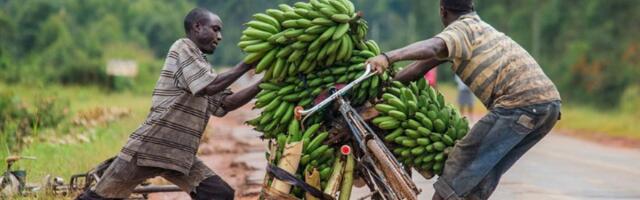 Šta znači banana država?