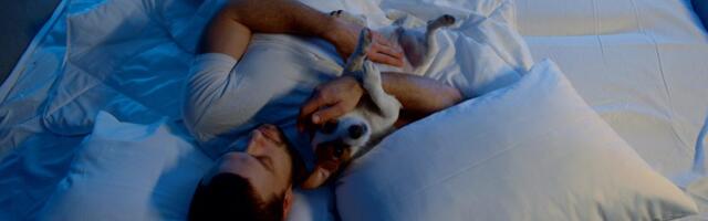 Zašto psi vole da spavaju pored vlasnika: 3 razloga koja će vas raznežiti