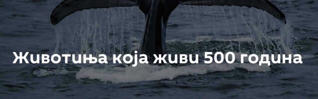 Животиња која живи 500 година