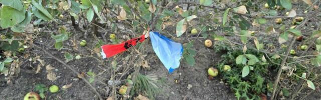 Izboli i pretukli mladića u invalidskim kolicima: "Dokrajčili su mu povređenu nogu, videla mu se kost od udaraca sekirom" (FOTO)