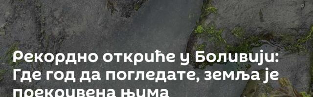 Рекордно откриће у Боливији: Где год да погледате, земља је прекривена њима