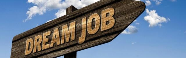 Najneobičnija zanimanja na svetu: Poslovi o kojima niste ni sanjali