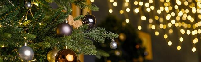 "ČAROBNA ZIMA" ISPRED BEOGRADSKE ARENE OD 24. DECEMBRA: Praznični trg ispunjen svetlima, toplinom i magijom! Zimsko selo, klizalište, Deda Mrazova kuća...