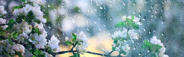 Tokom dana toplo i vetrovito, uveče stiže preokret: Najviša dnevna do 20 °C