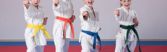 Tri medalje za karatiste iz Leposavića na turniru u Raški