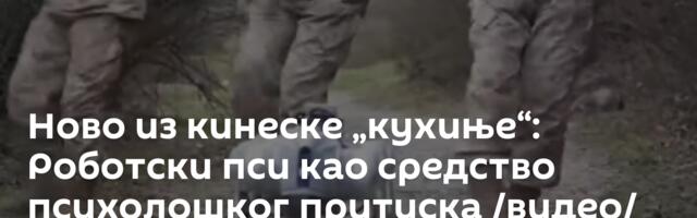 Ново из кинеске „кухиње“: Роботски пси као средство психолошког притиска /видео/
