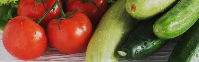 Zalivajte krastavce ovim rastvorom i rađaće kao blesavi