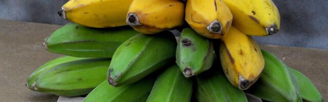 Koja boja banane je najbolja za vaše zdravlje: Zelene, žute ili one sa braon pegama? Evo odgovora